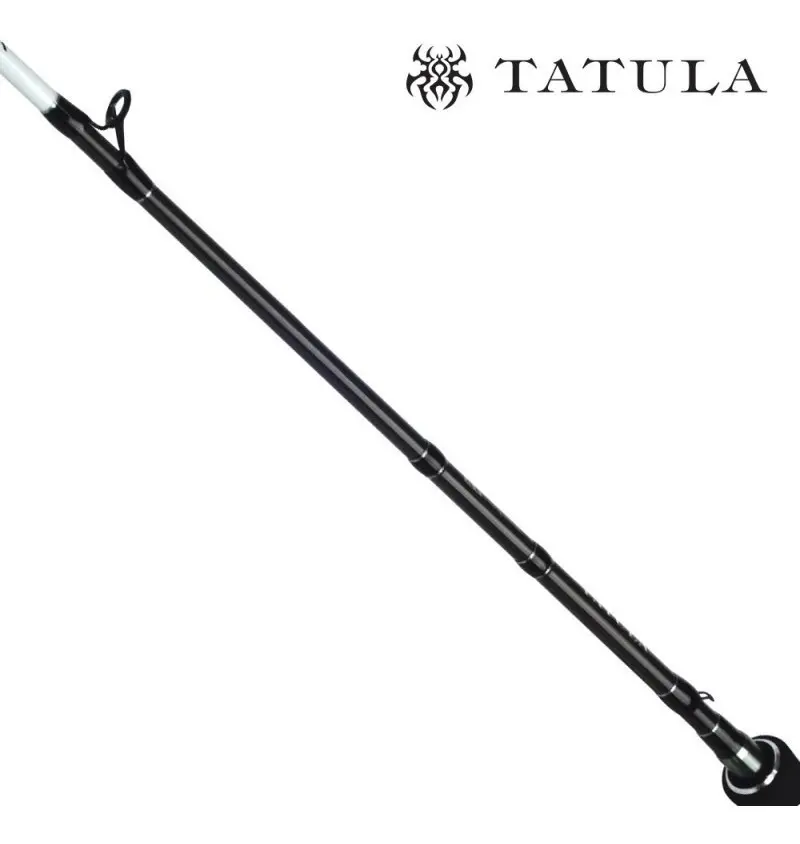 Vara Daiwa Tatula XT 601MXB 6"0 20 Libras